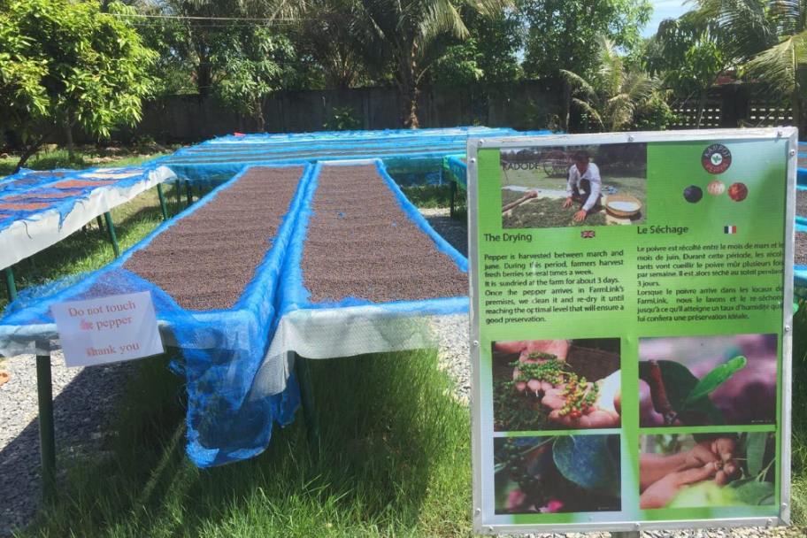 Découverte des événements culturels